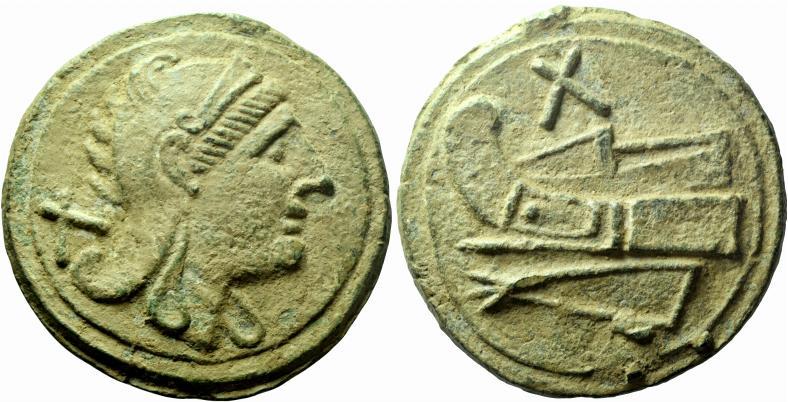 File:Decussis.jpg