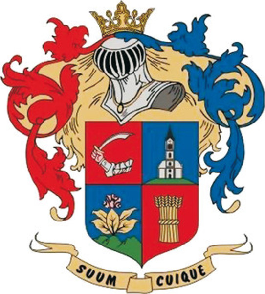 File:HUN Nyírbogát COA.jpg