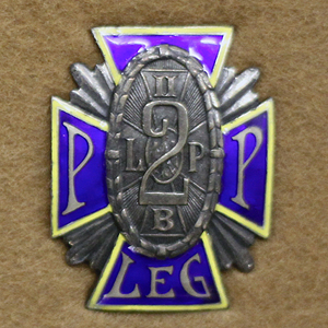 File:Odznaka 2pp.jpg