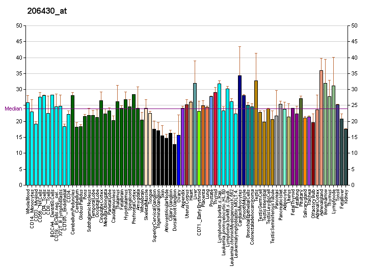 File:PBB GE CDX1 206430 at fs.png
