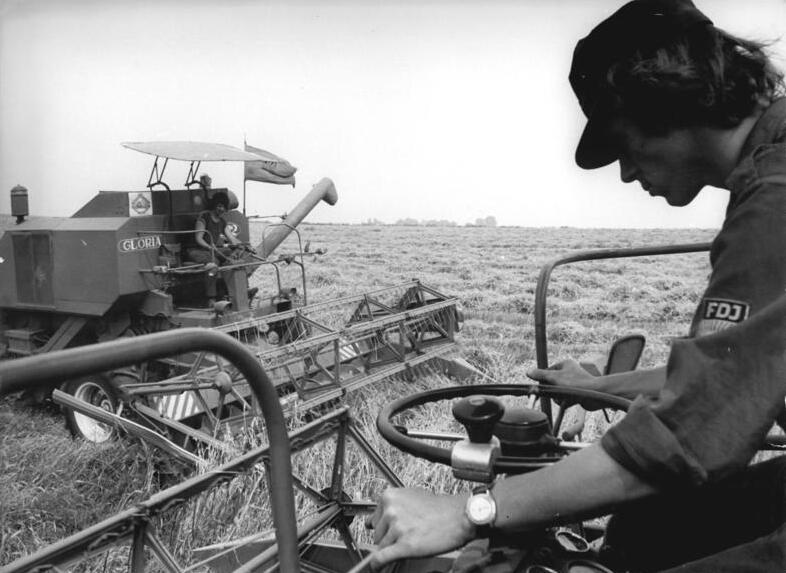 File:Bundesarchiv Bild 183-M0818-0030, KAP Göritz, Getreideernte.jpg