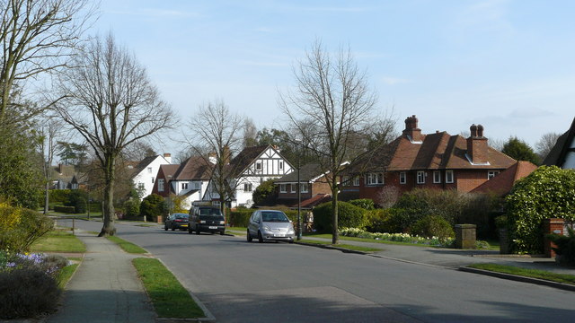File:Street Scene, Peaks Hill, Woodcote - geograph.org.uk - 1208689.jpg