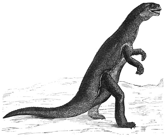 File:Zanclodon 1886.jpeg
