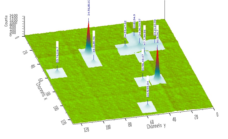 File:2D ROI.jpg
