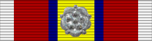 File:Pingat Perkhidmatan Setia - PPS.png