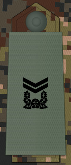 File:KA insignia Sergeant First Class.jpg