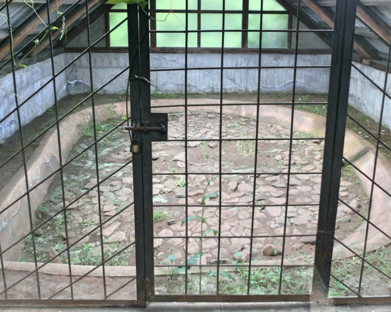 File:Kogasaka Stone Age Site.jpg