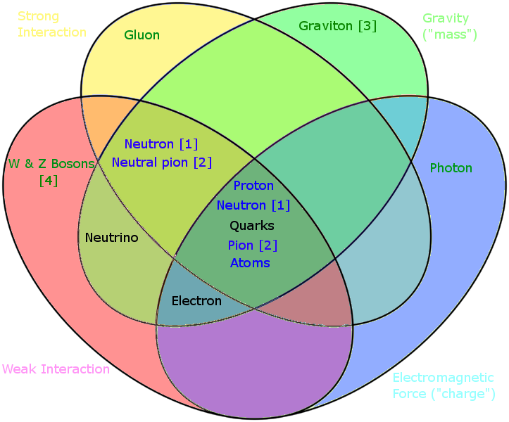 File:Particles by fundamental interactions.png