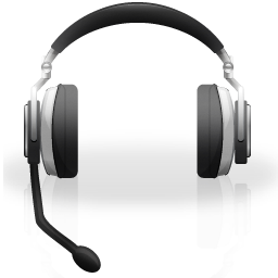 File:Crystal Project Voice-support.png