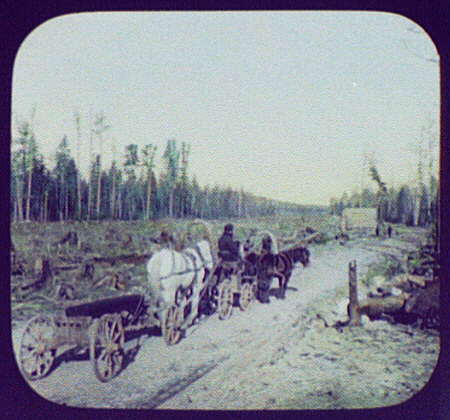 File:Clearing on the right-of-way of the Eastern Siberian Railway, A LCCN2004708023.jpg