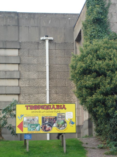File:Tropiquaria at Washford - geograph.org.uk - 67177.jpg