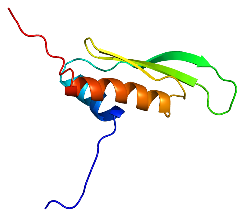 File:Protein PRKRA PDB 2dix.png