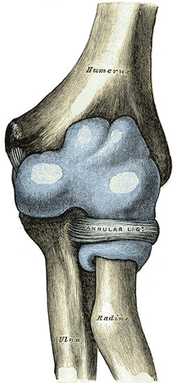 File:Gray331.png