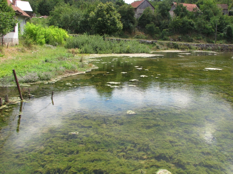 File:Tonkovicevo vrilo Gacka 0807.jpg
