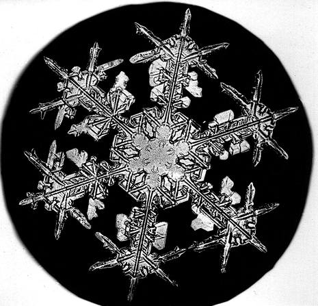 File:Bentley Snowflake8.jpg