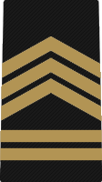 File:CACC Sergeant First Class insignia.png