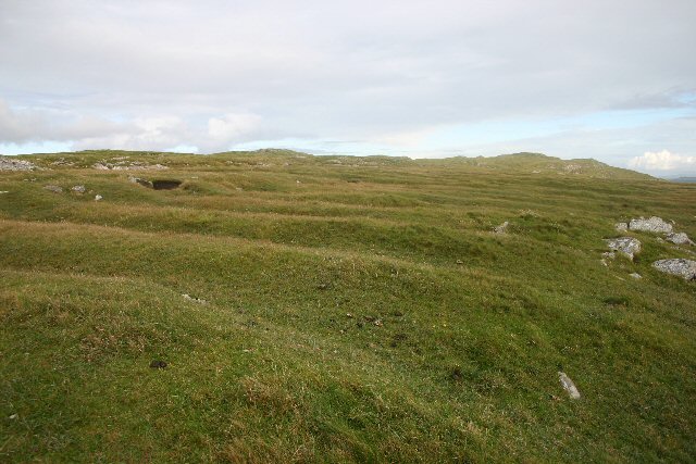 File:Ensayformercultivation.jpg