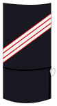 File:Guarasal21.png