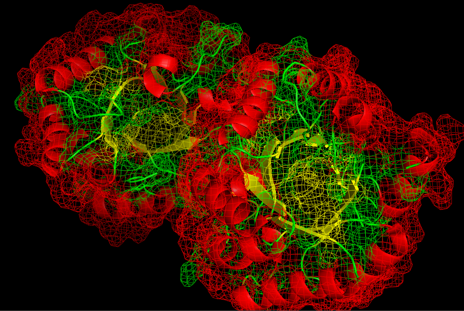 File:Pymol1DHQDika2011.png