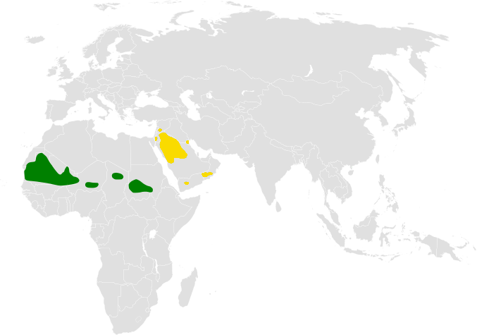 File:Eremalauda dunni or eremodites map.png