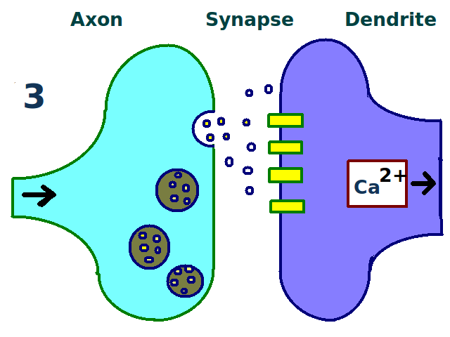 File:LTP Third Stage.png