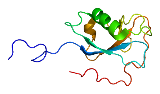 File:Protein DCX PDB 1mjd.png