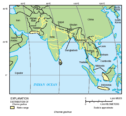 File:Channa gachua distribution.gif