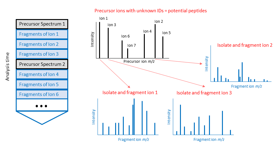 File:DDA MS Proteomics Scheme.png