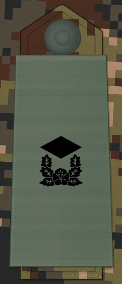 File:KA insignia Second Lieutenant.jpg