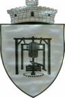 Coat of arms of Păcureți
