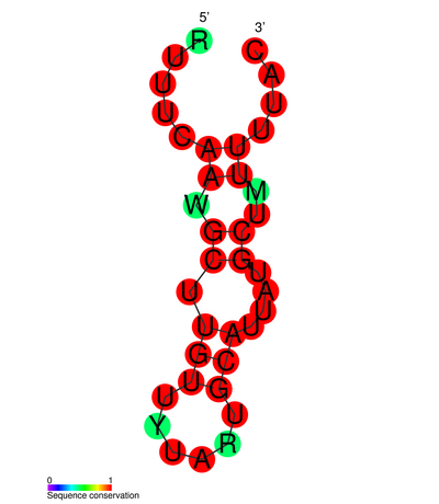 File:RF01378.png
