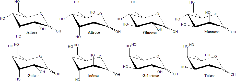 File:Structure of D-hexoses.png