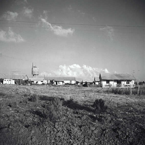 File:יבנה - מראה-JNF000881.jpeg