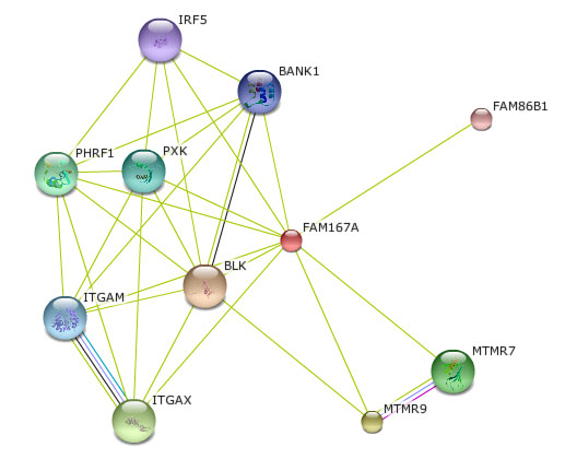File:Int web.jpg