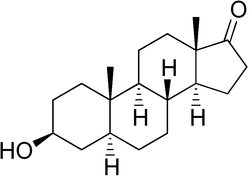 File:Epiandrosterone.png