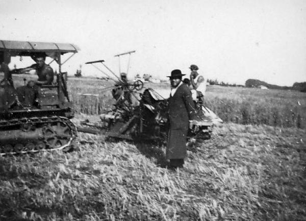 File:מאלמת בשדות גן-שמואל.jpg