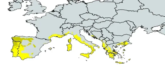 File:Mapeuropemediterranean climate.webp