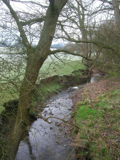File:Pook Bourne - geograph.org.uk - 1109080.jpg
