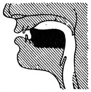 File:An outline of English phonetics fig31.png