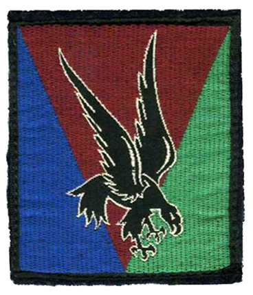 File:Insigne de la 10e division parachutiste.jpg