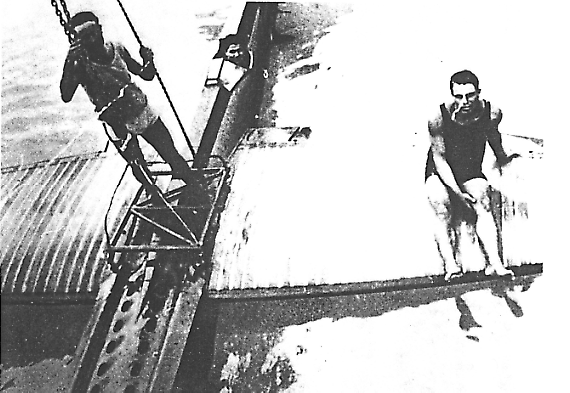 File:Piaggio P.7 above.gif