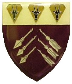 File:SWATF Medical Command emblem.jpg