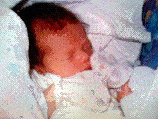File:First camera phone picture.gif
