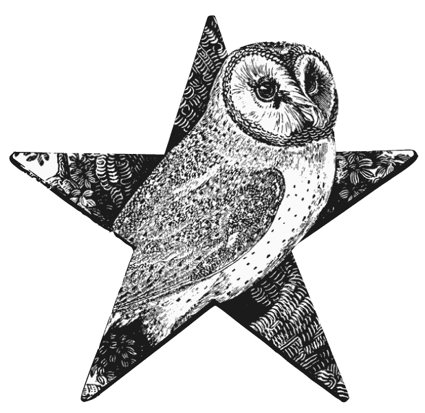 File:Barn Owl Barnstar.png