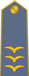 File:Royal Romanian Air Force OR-9a - Plutonier adjutant (1944).gif