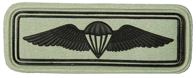 File:SANDF Qualification Paratrooper Freefall badge embossed.png