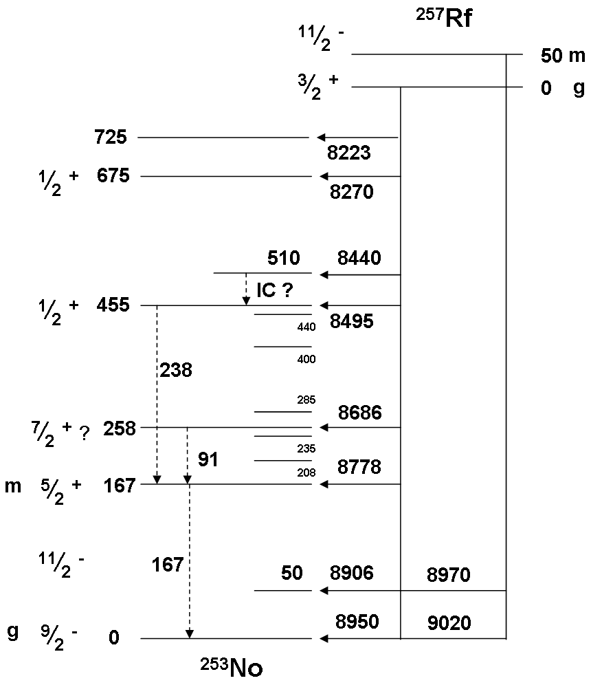 File:257Rf decay scheme 2006.png