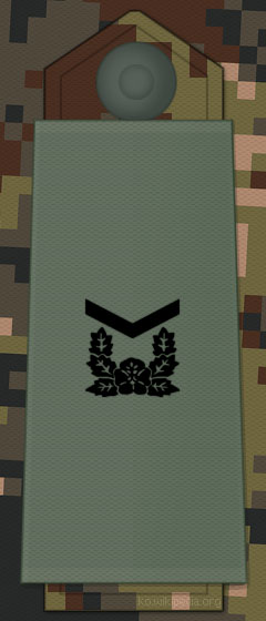 File:KA insignia Staff Sergeant.jpg