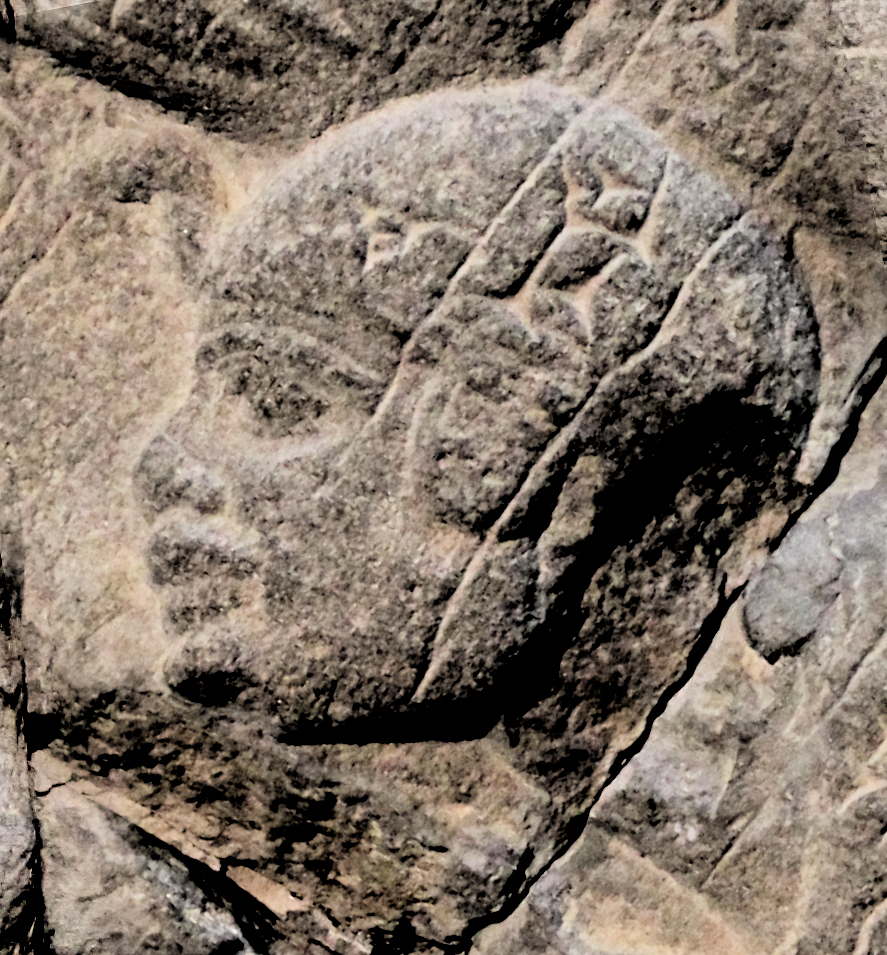 File:Ushankhuru (head portion).jpg