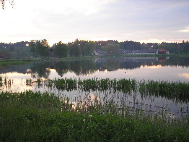 File:Przelewice (pow wałecki)-staw rybny.jpg